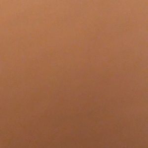 Meet your Posher, Lizbeth